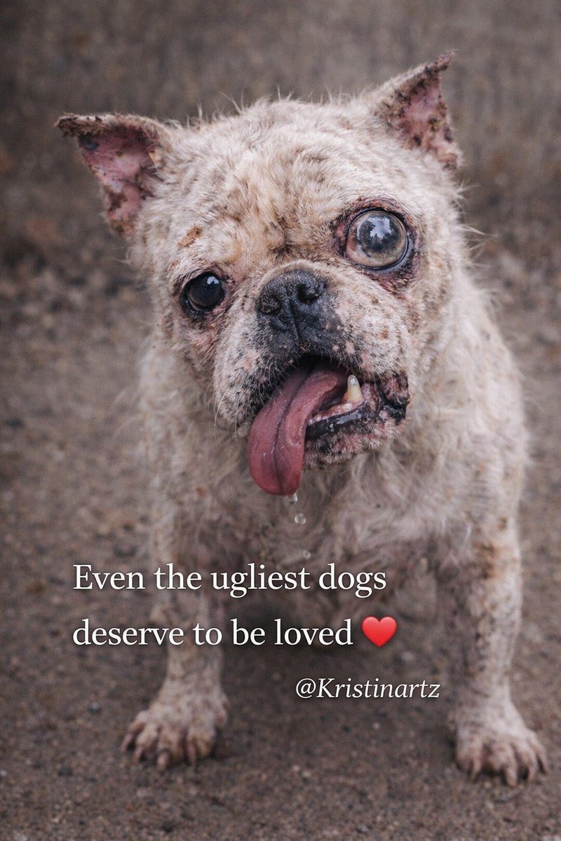 Kristina Bolten tweet media