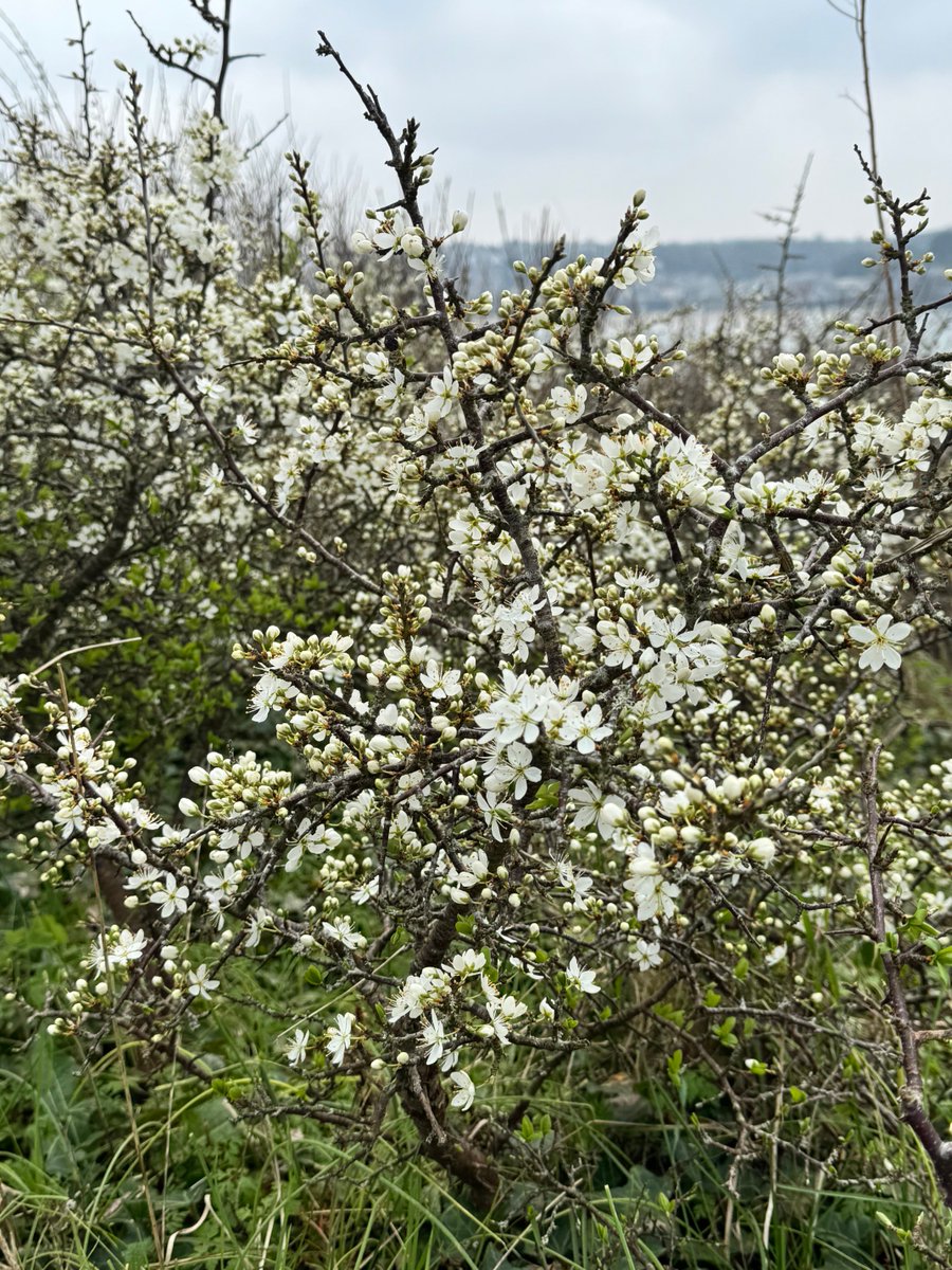 Malcolm Butterworth tweet media