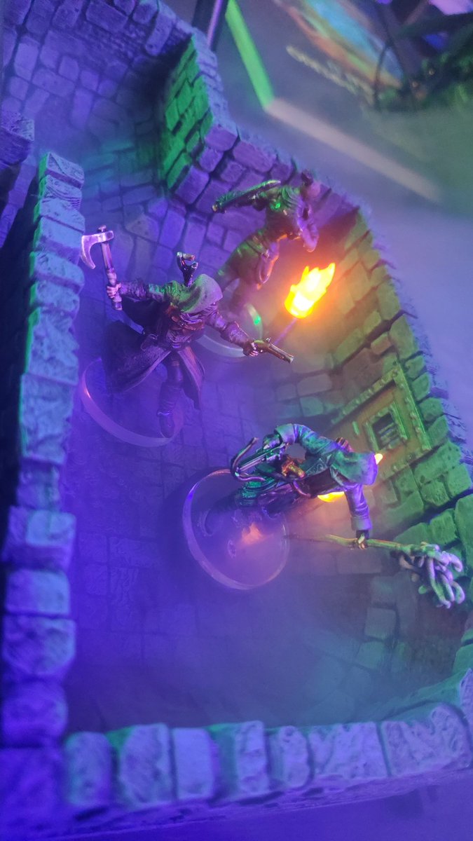 Pumu Legendario tweet media