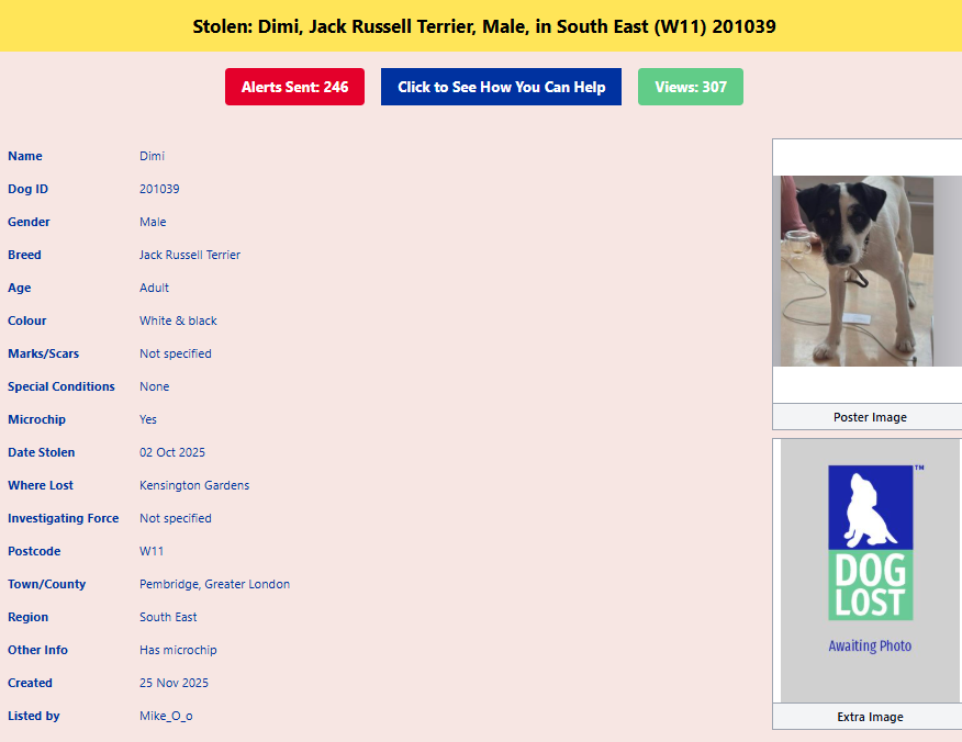 PDRescue's tweet image. #stolendoghour

Dimi went missing from #Pembridge Greater #London 2.10.25

 doglost.co.uk/dog/201039

facebook.com/photo/?fbid=10…