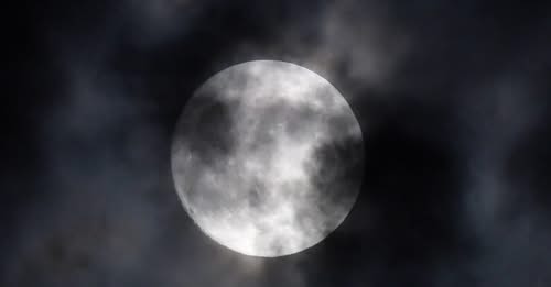 LASKA SANDY DAWN ALEX PASCALE PADLO ALPHA. A. tweet media