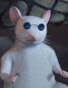 Raccoonsito draws! tweet media