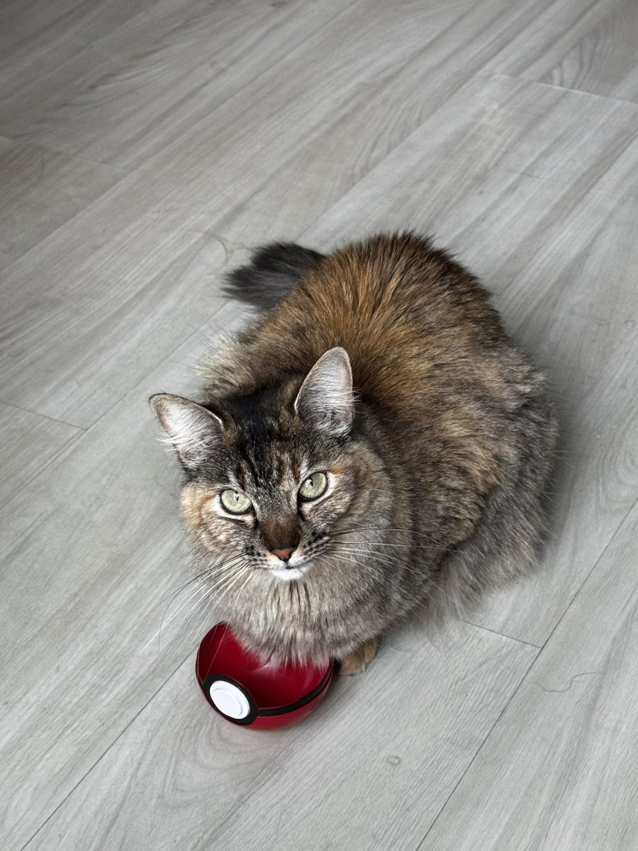 Tisdalle tweet media