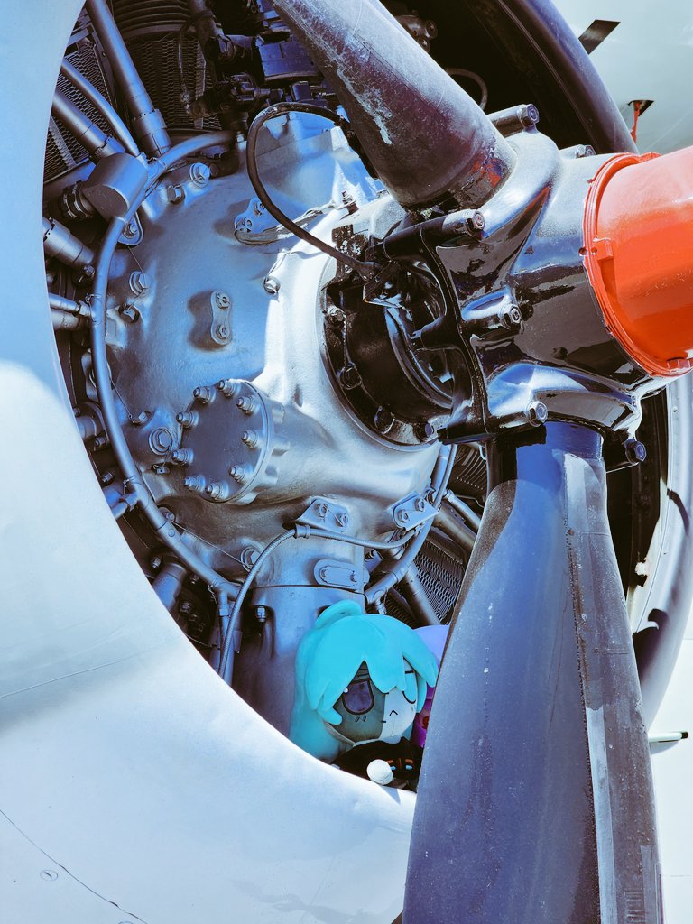 buhhNyaner tweet media