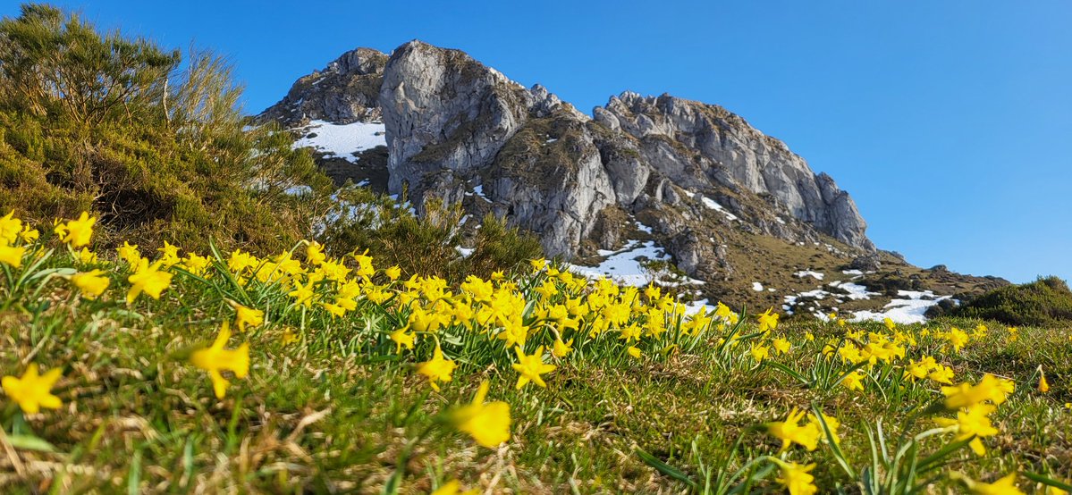 meteoexploration tweet media