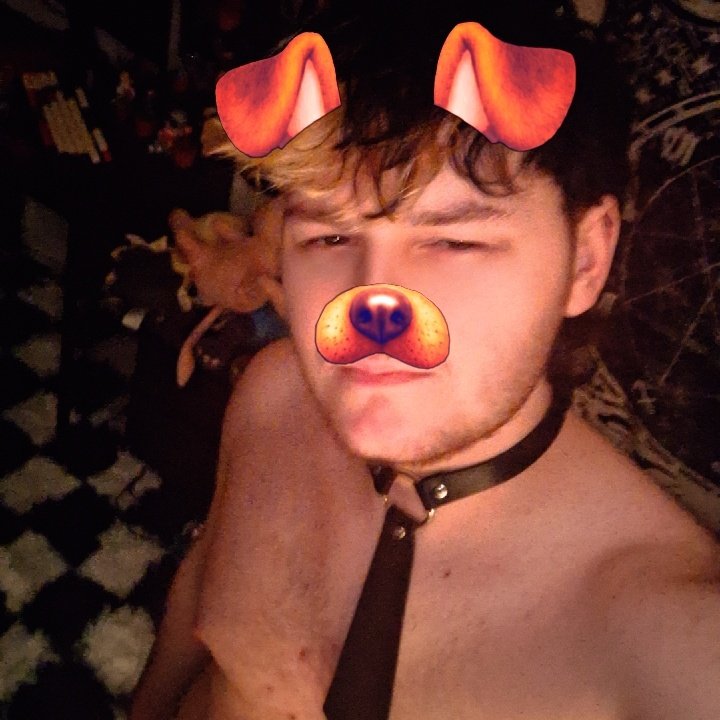 jam_is_a_slag's tweet photo. #pup #mlm #gay https://t.co/BDL0VXFOxg
