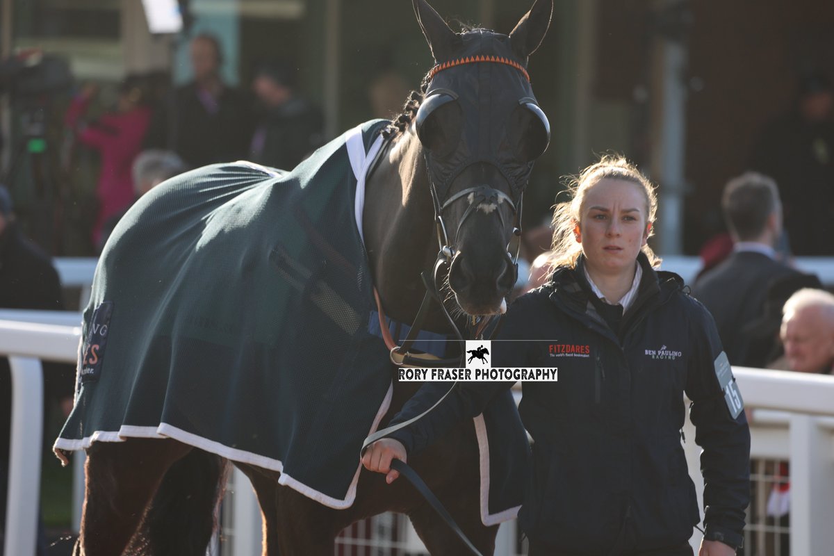 Rory Fraser Photography🤘 tweet media