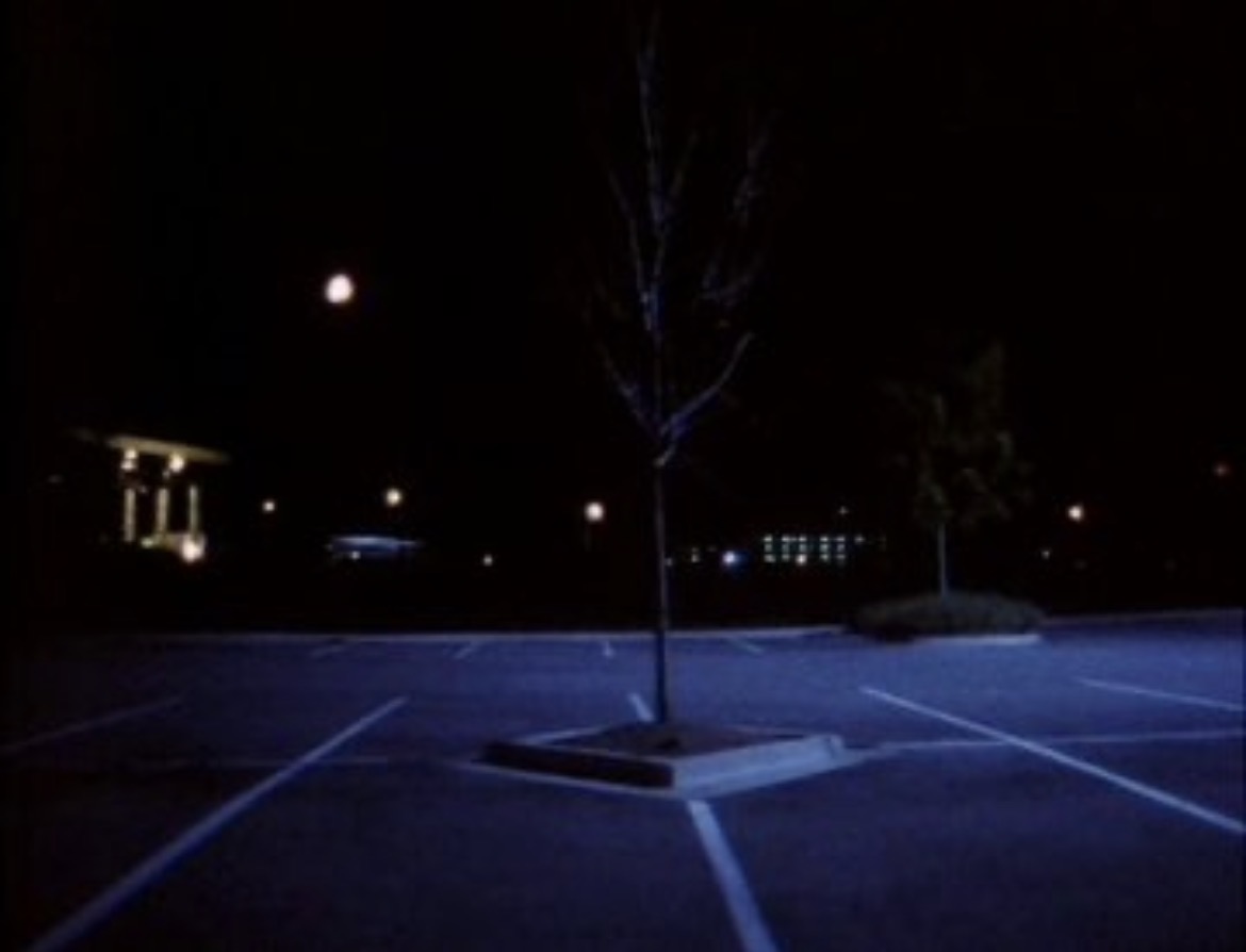 Daniel Gorman tweet media