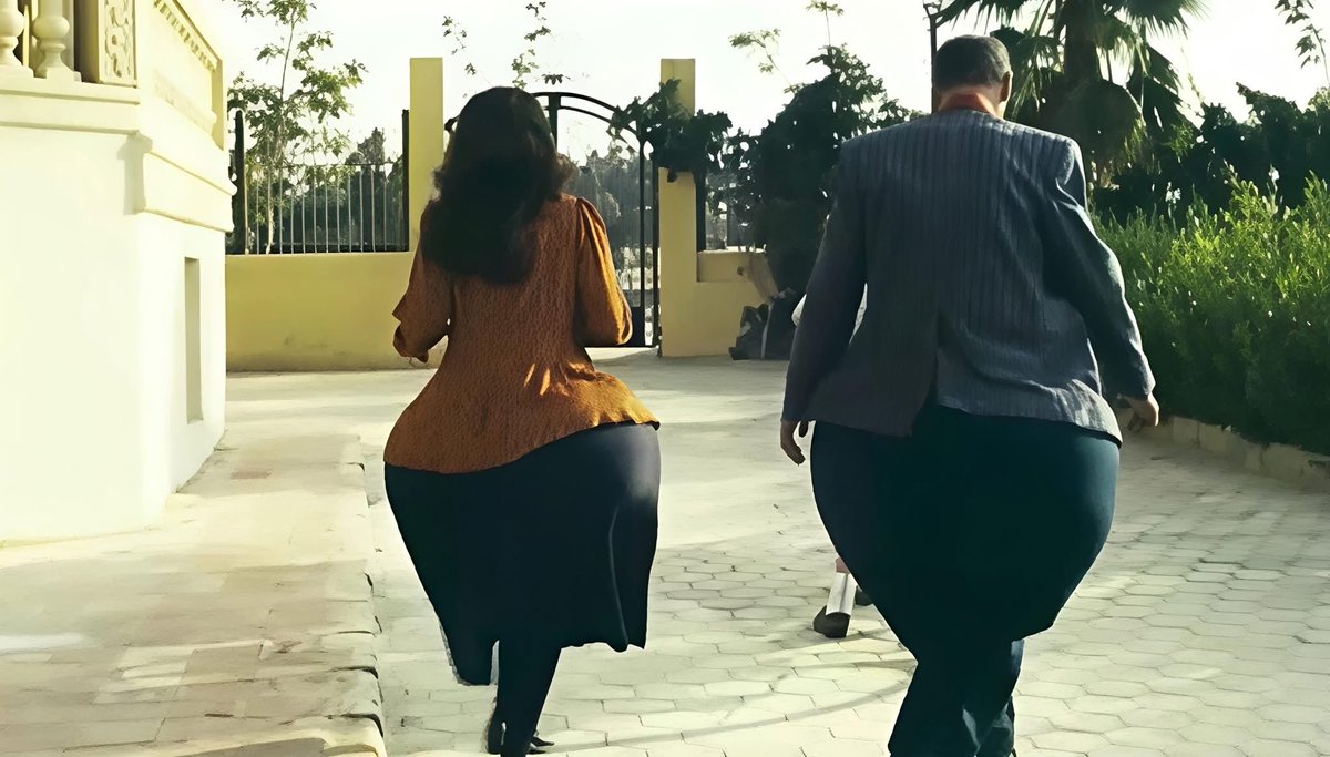 محمود بدر tweet media