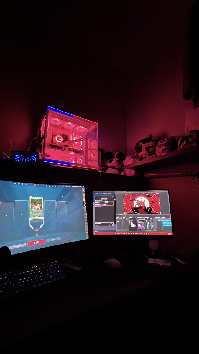 salwa | elektra tweet media