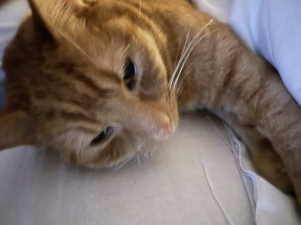 @torsiondouble tweet media