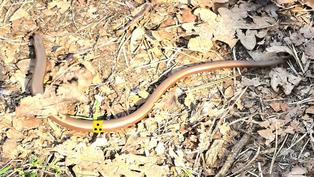 Micha0001 tweet media