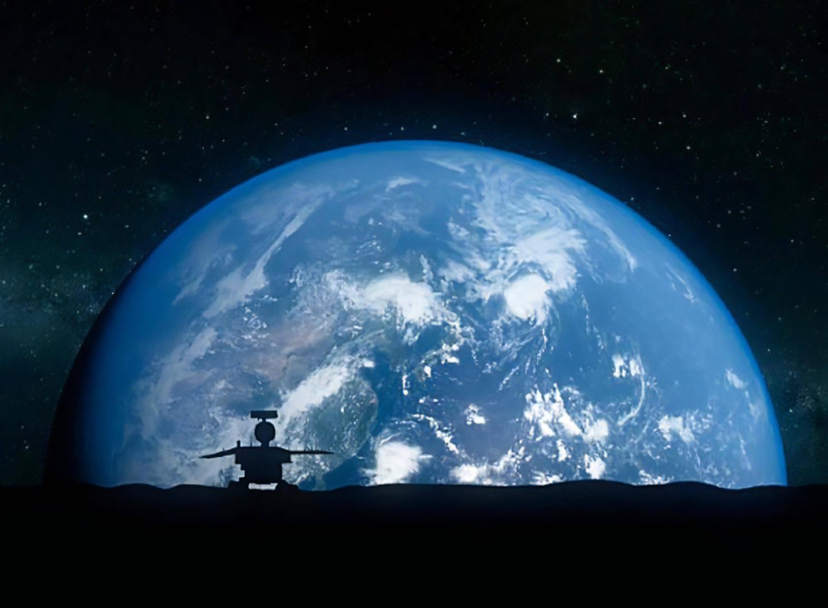 Sally Fitzpatrick tweet media