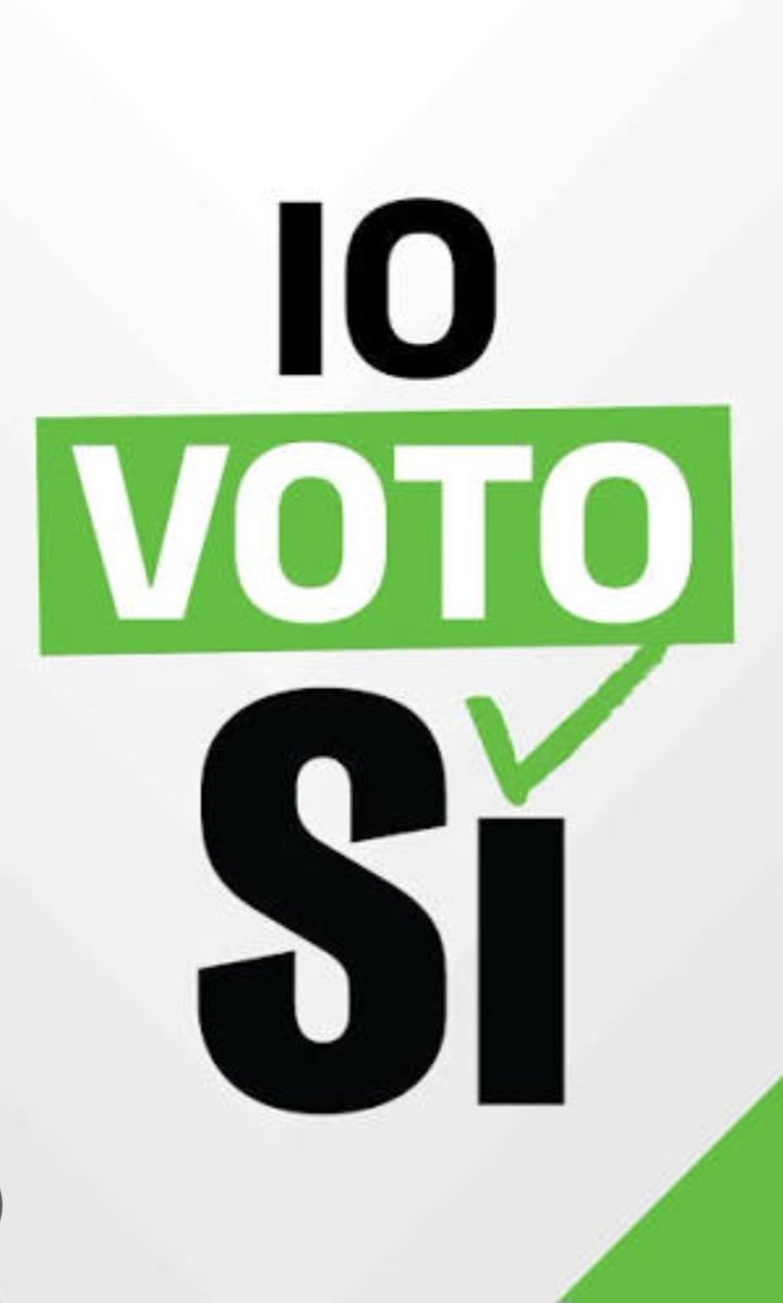 oɹpuɐssǝl∀ tweet media