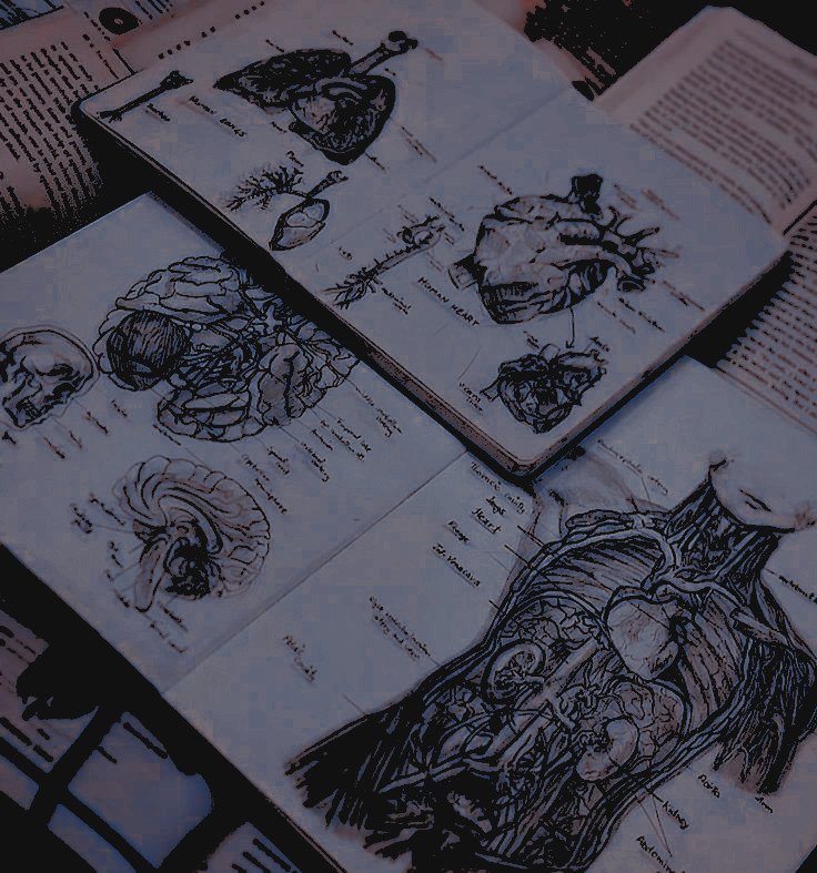 ᅠᅠᅠᅠ☾︎ᅠ𝘳𝘶𝘯𝘦 .ᐟ tweet media