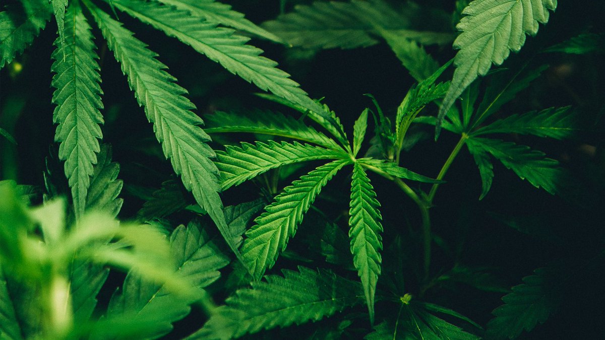 Vision.org tweet media