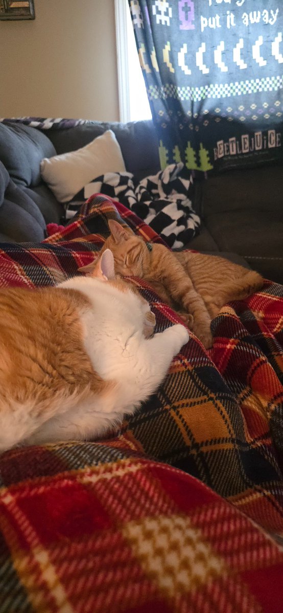 Bryan David Downs tweet media