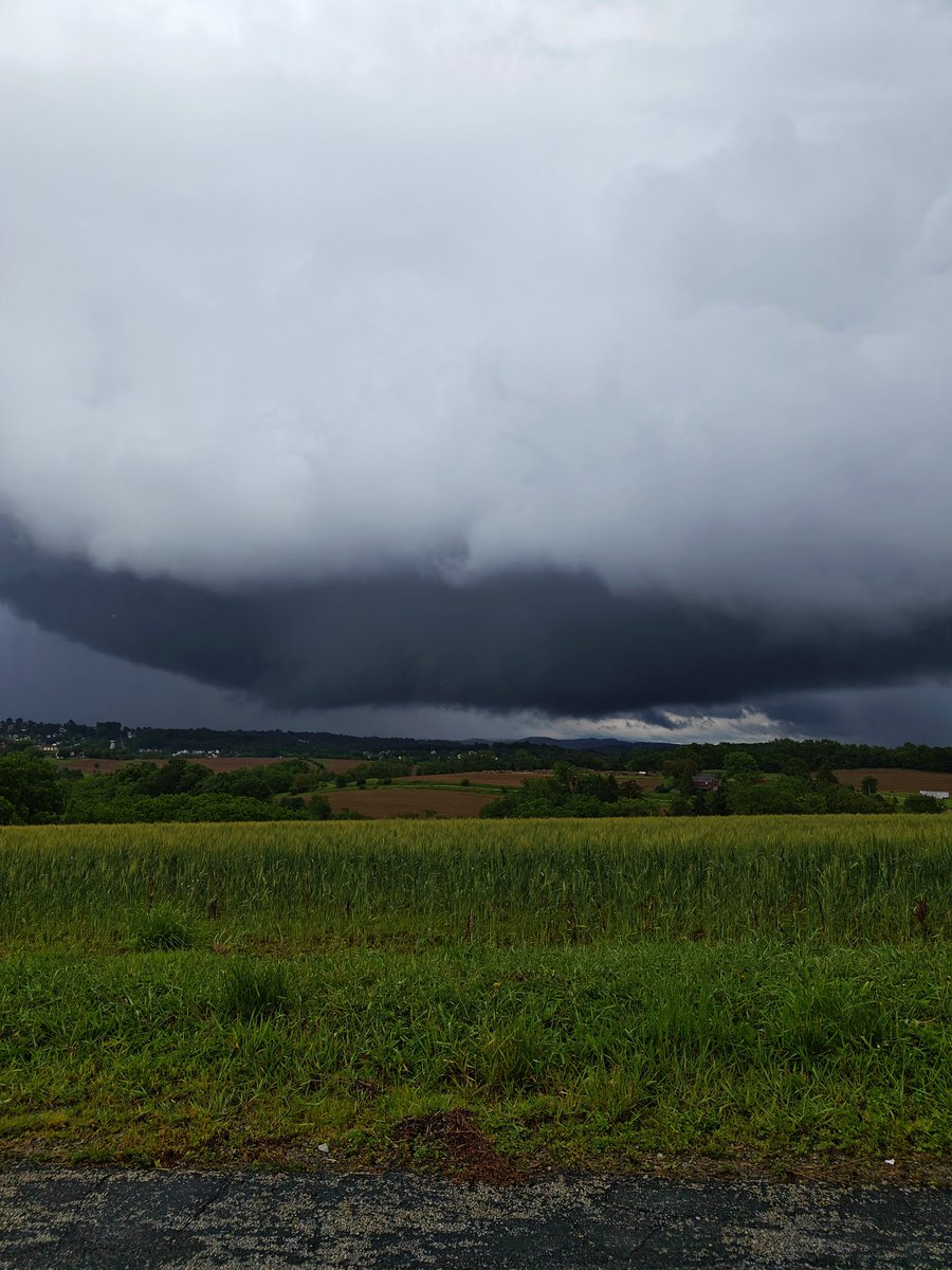 Evan Chiefer tweet media