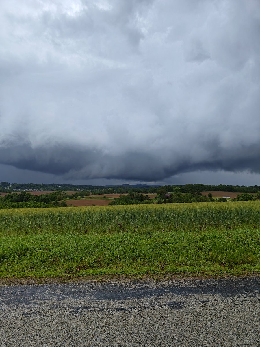 Evan Chiefer tweet media