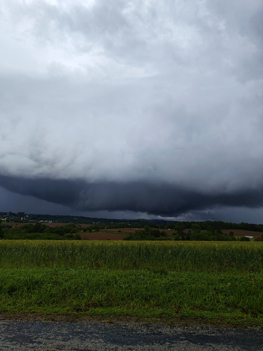 Evan Chiefer tweet media