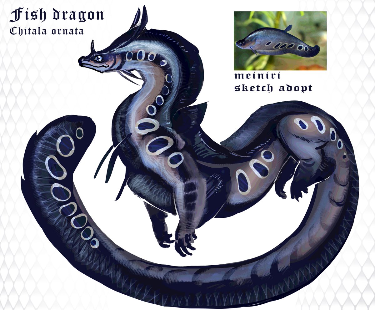 meiniri✴️✴️ tweet media