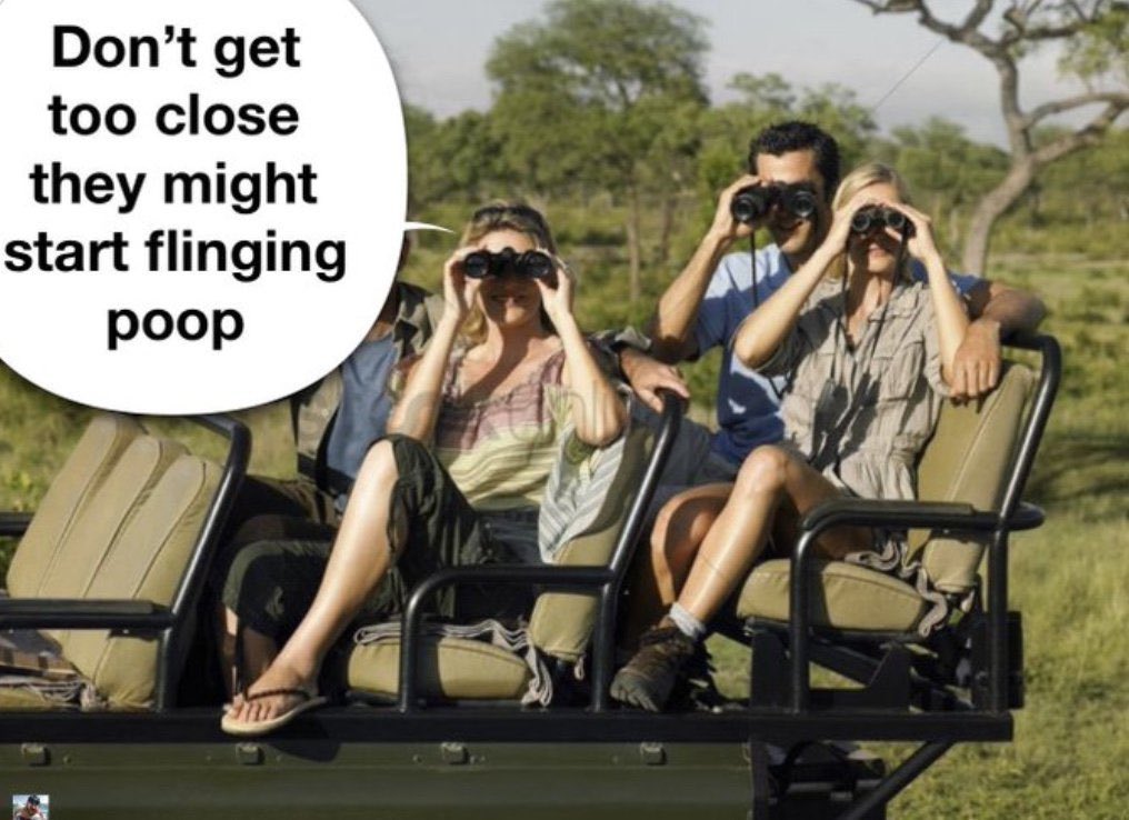 mashfique84 tweet media