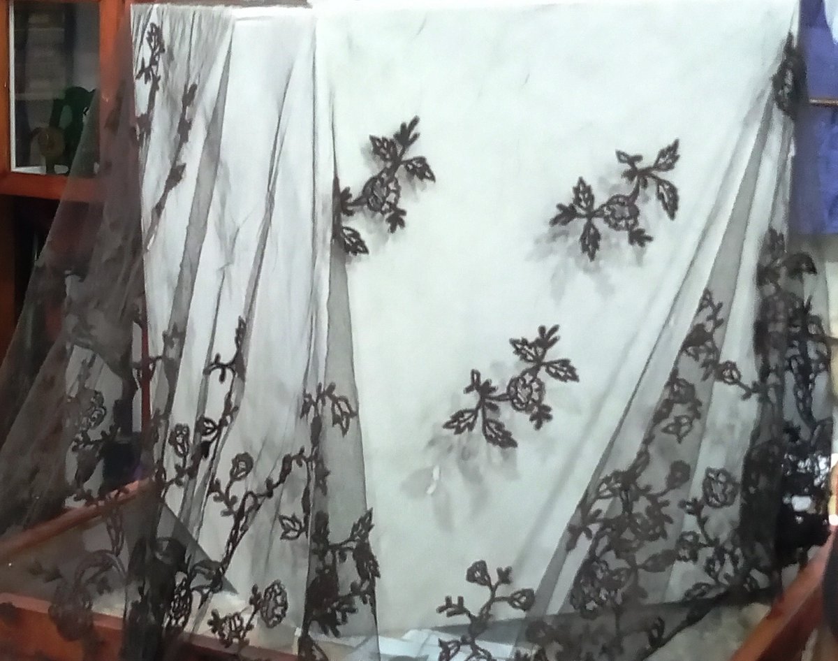 Stephanie Richards tweet media