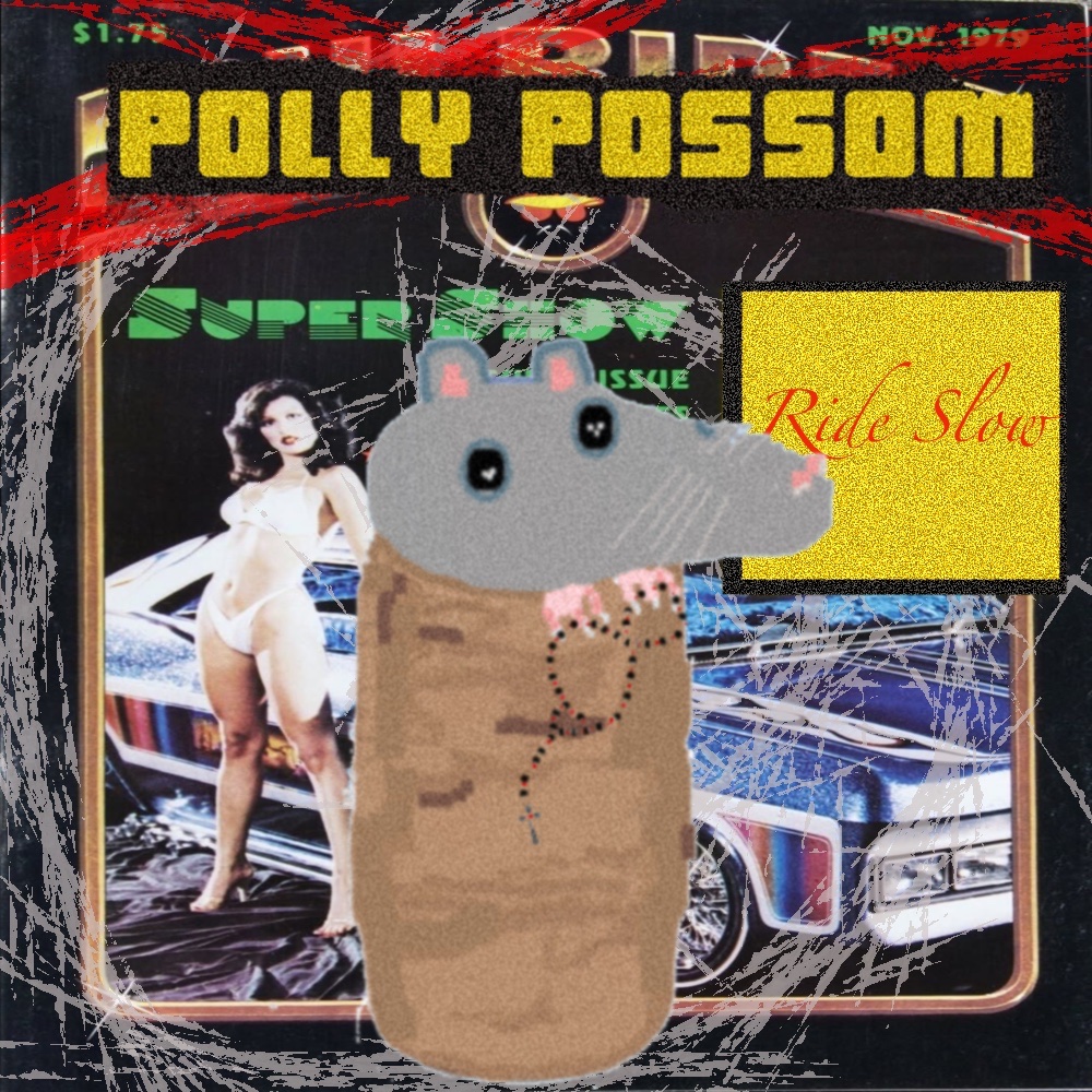Polly Possom tweet media