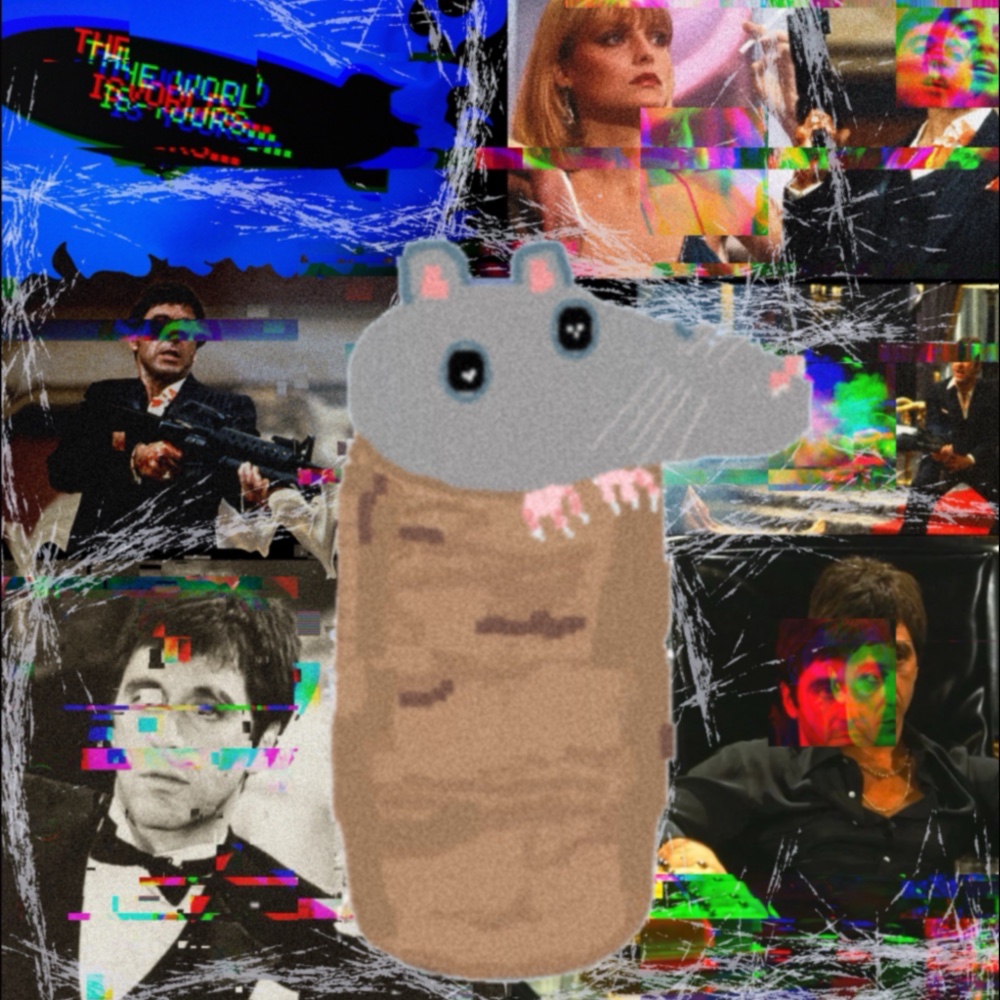 Polly Possom tweet media