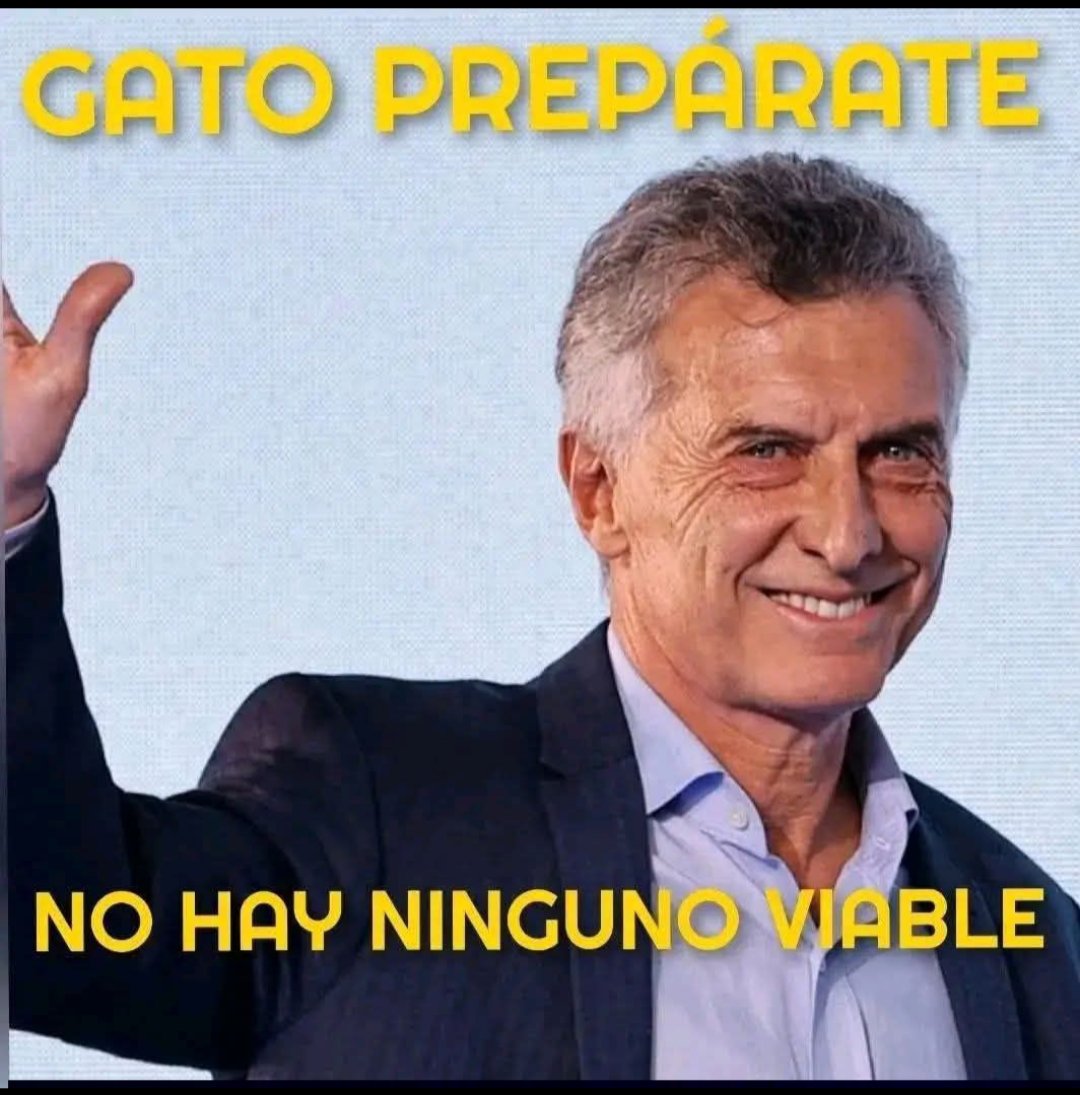 Maria Todaro tweet media