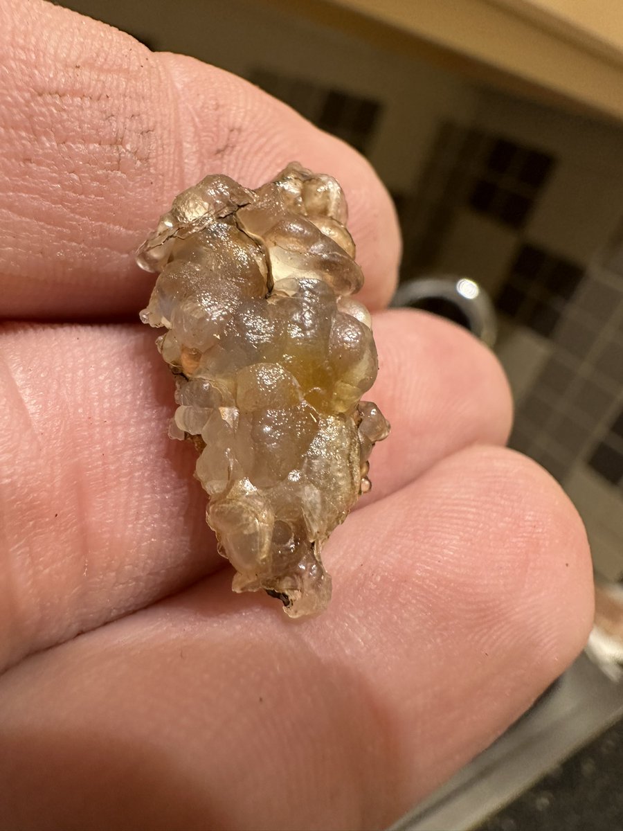 DJKingJam's tweet photo. Couple of the small ones… sometimes they are the best 😎🤙🏼💯 #Agates #Arizona @jamescara75 https://t.co/tuCObFMpxt