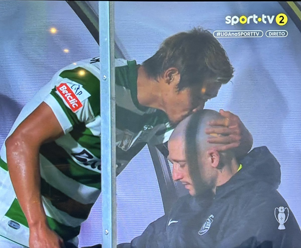 Cheira a tricampeão 💚