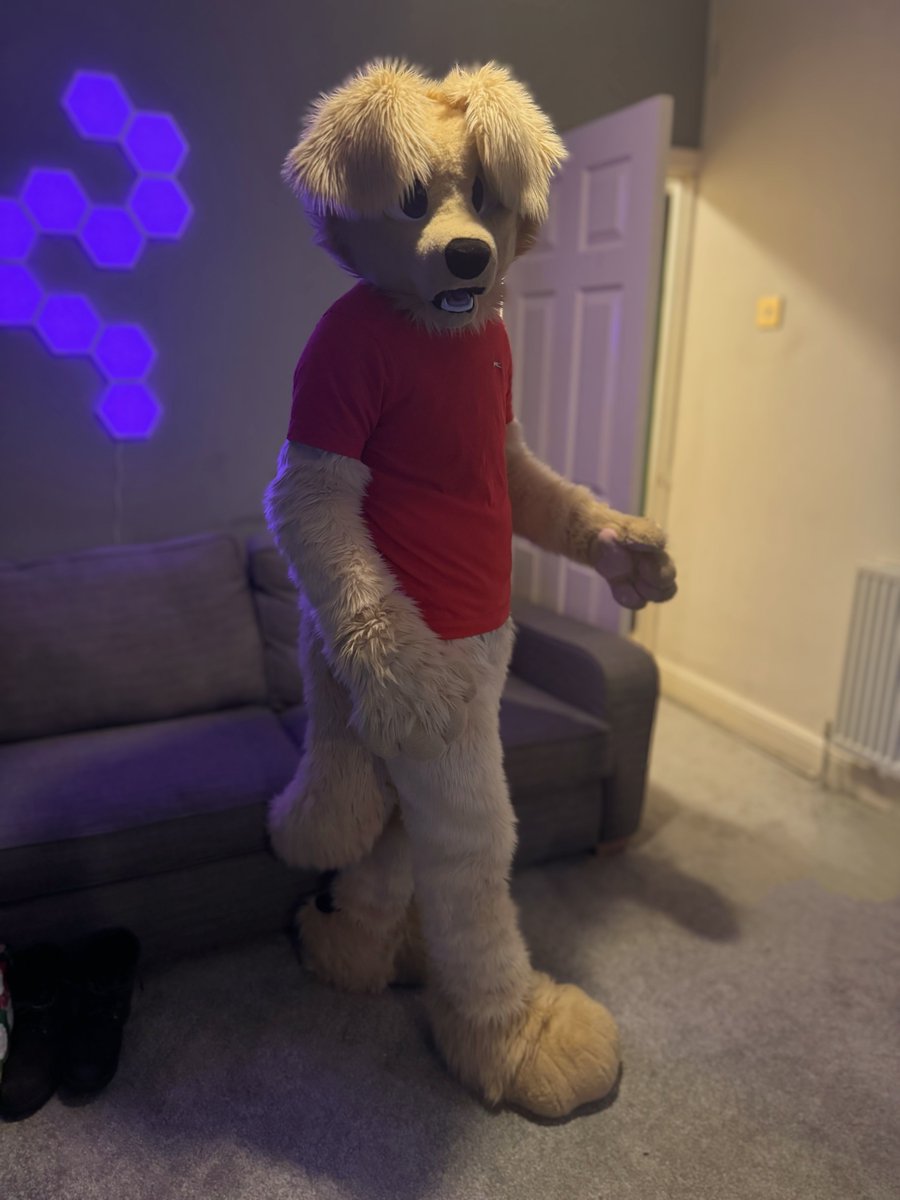 🏴󠁧󠁢󠁷󠁬󠁳󠁿 Kodi 🏳️‍🌈 tweet media