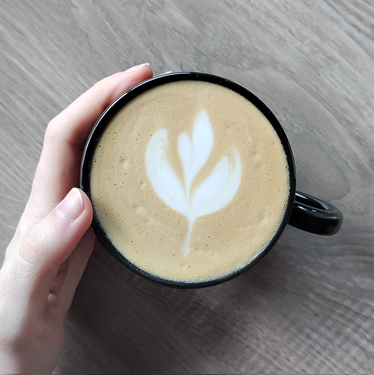 bury me under a pine tree tweet media