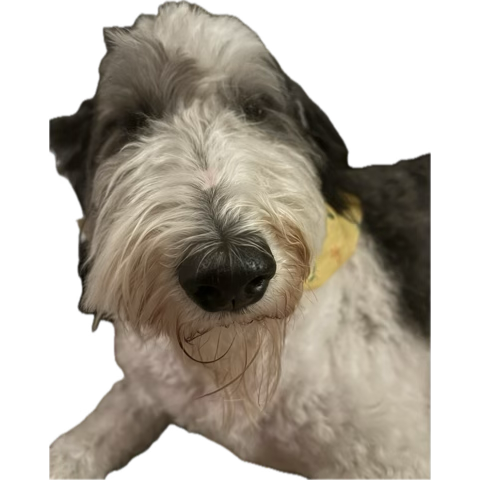 Babyeaterman tweet media