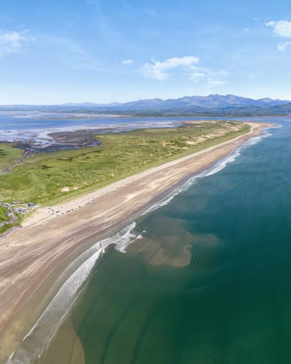 Discover Kerry tweet media