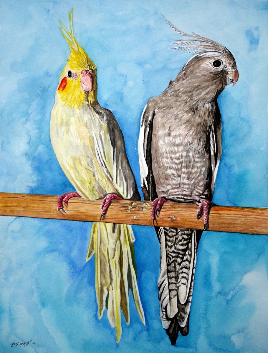 Christopher Kovacs tweet media