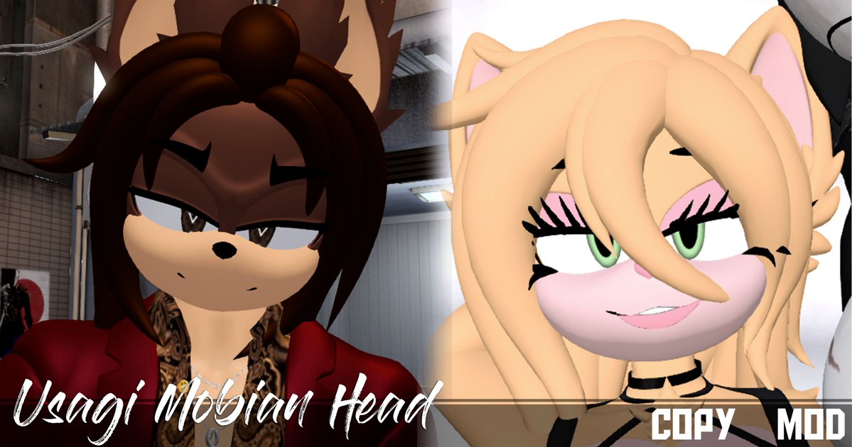 CEO OF ROBUSSY tweet media