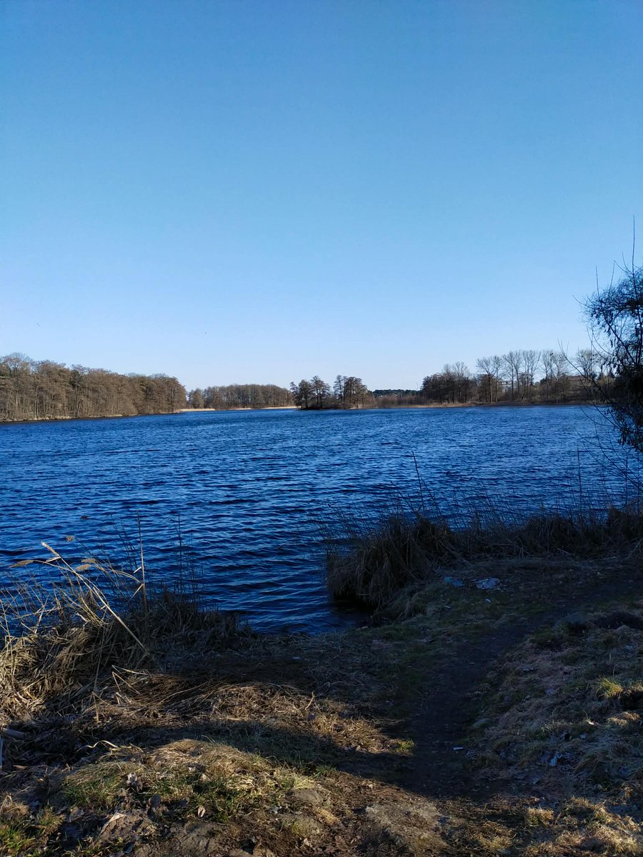 RODM wielkopolskie i kujawsko-pomorskie tweet media