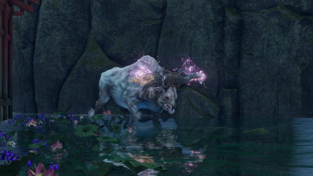 Bryna - The Dark Souls of VP tweet media