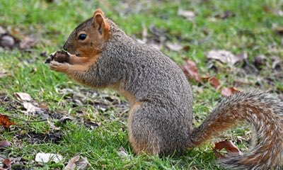 The Hit Man tweet media