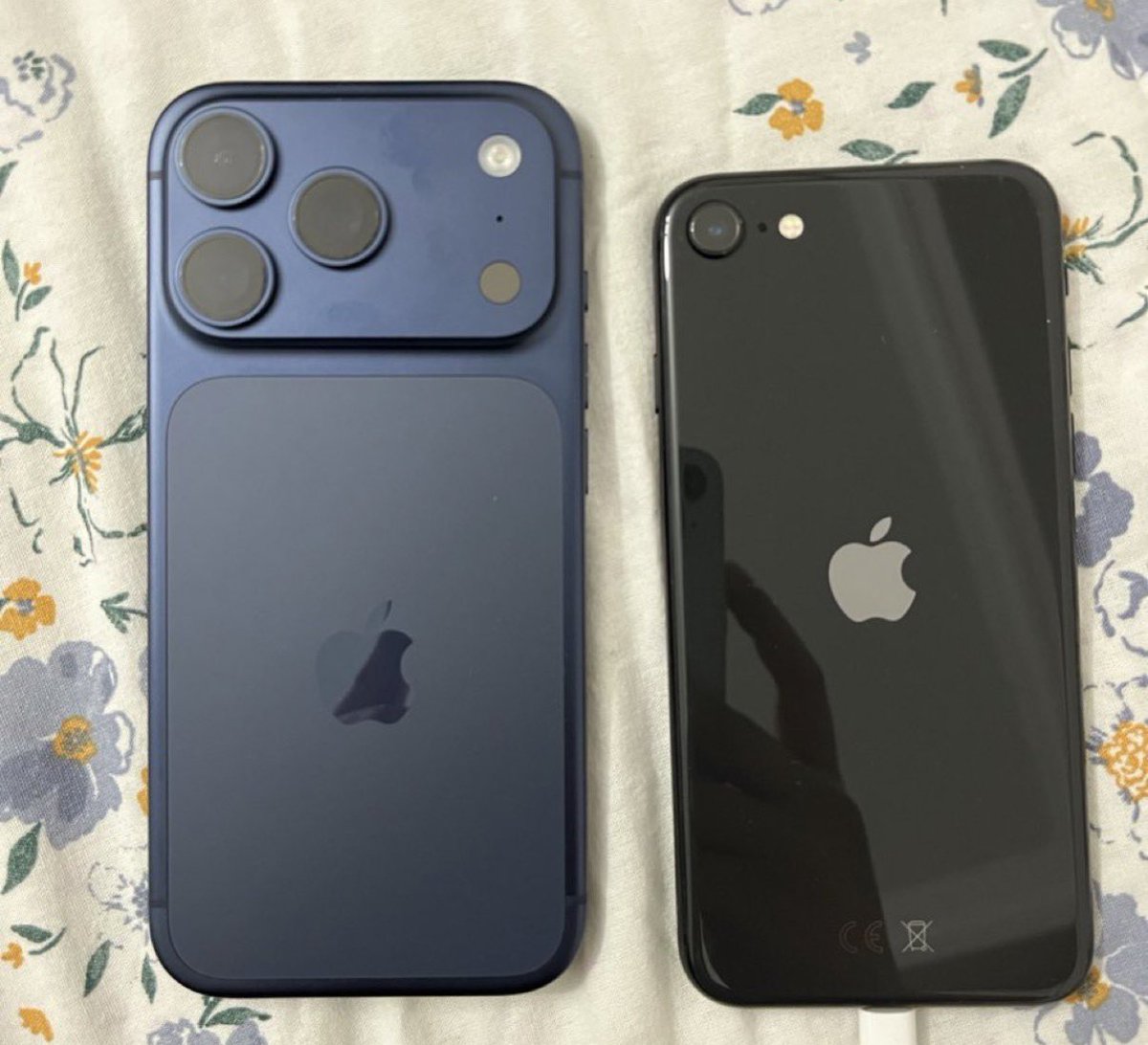 Maldita Summer tweet media