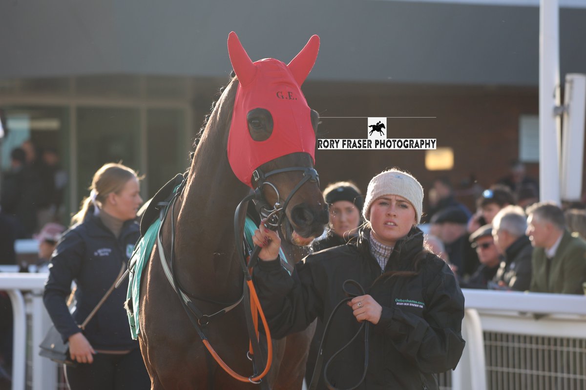 Rory Fraser Photography🤘 tweet media