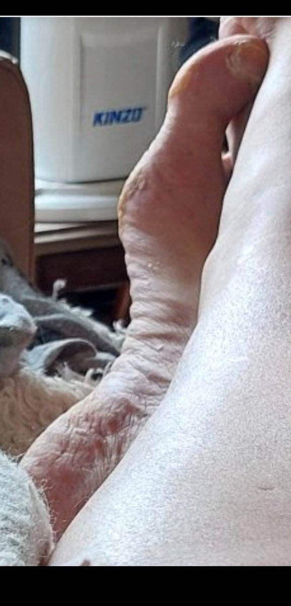 Soof 💖 tweet media