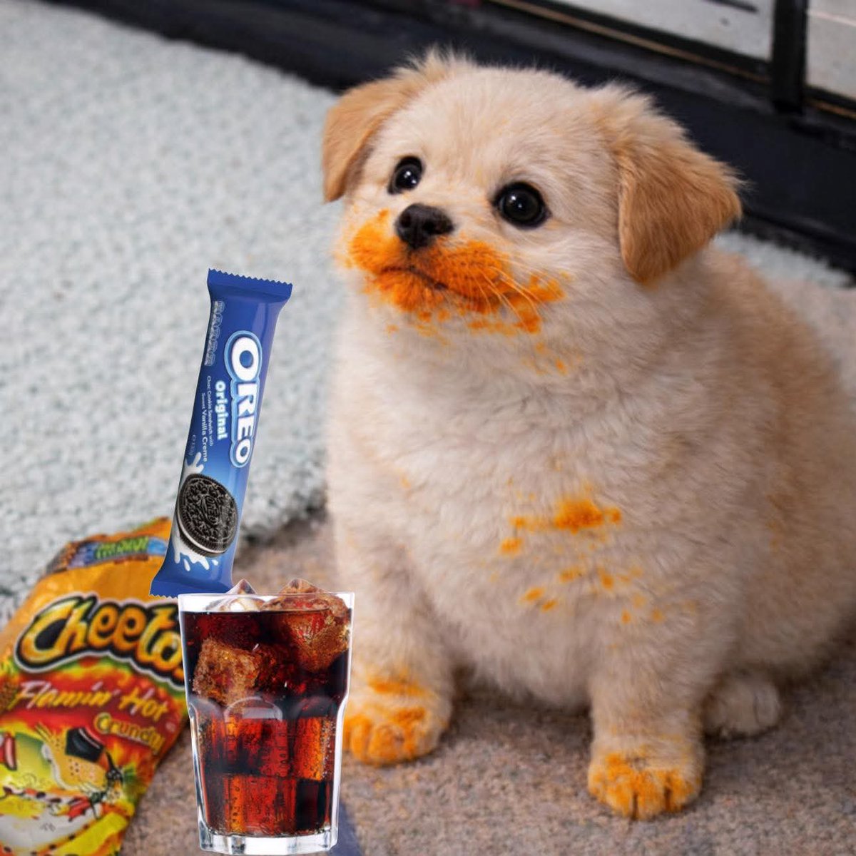 Animalitos en aprietos. tweet media