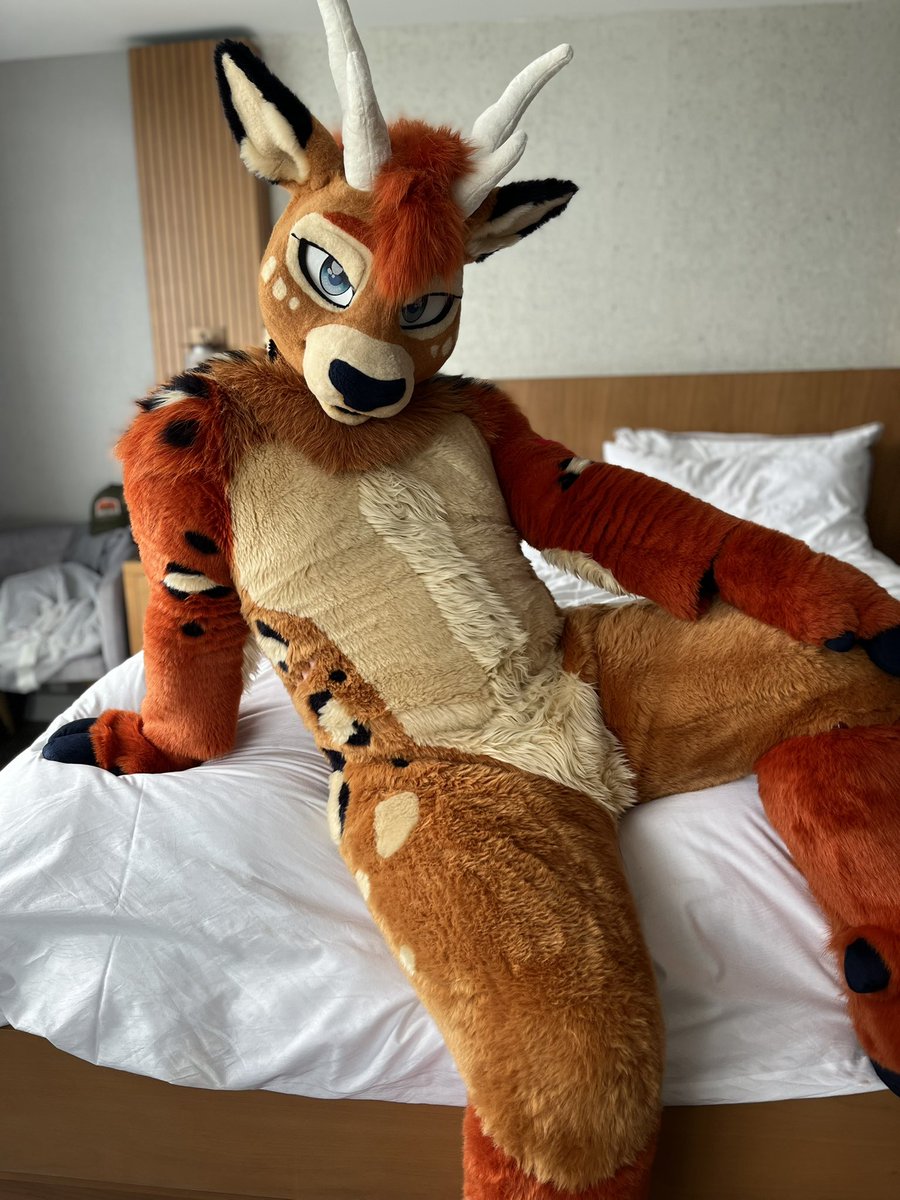 Farley Fella 🍁🔜 FE / FWA / AC / CanFUR / MP tweet media