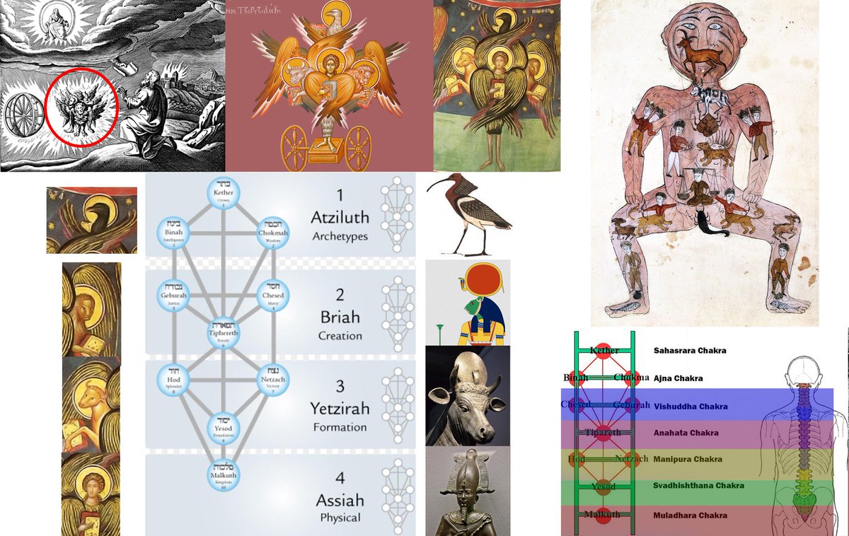Open Minded Approach tweet media