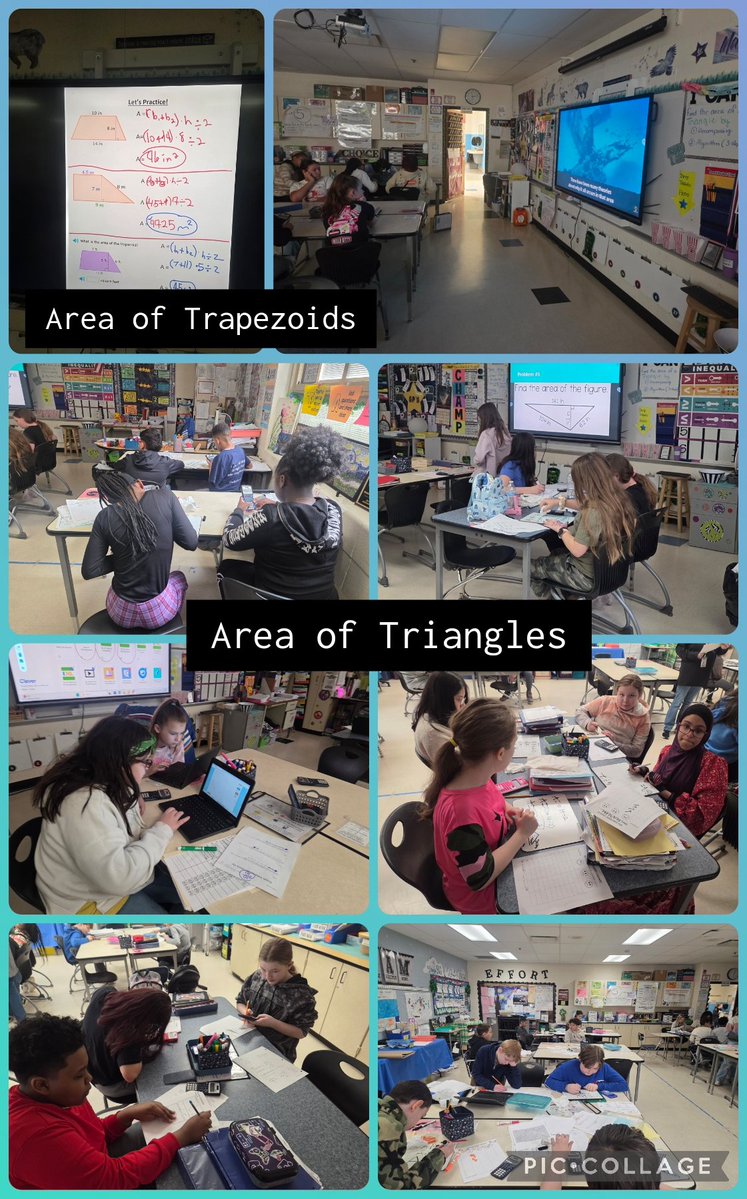 StephanieCollier225 tweet media