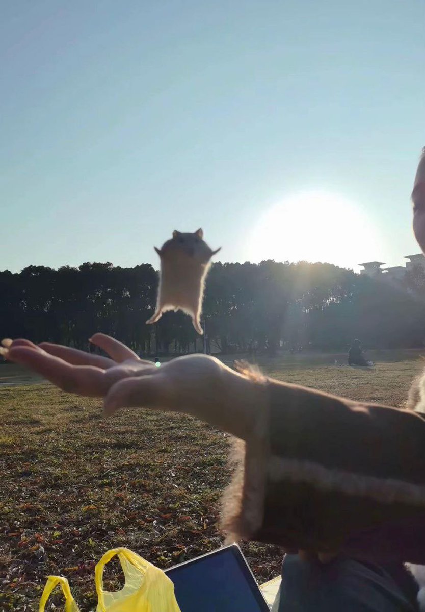 さとう tweet media