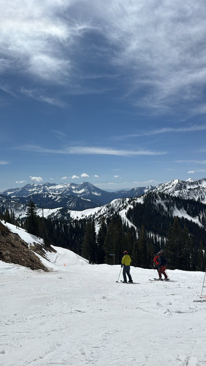 TonyD (aka Big Tone) tweet media